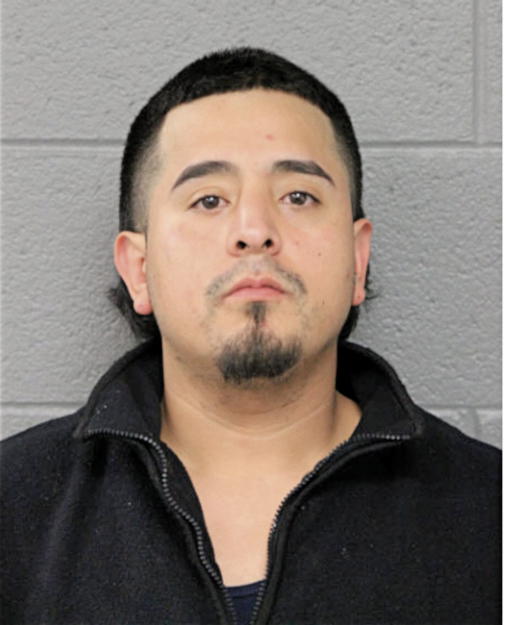 RAMON BRAVO, Cook County, Illinois