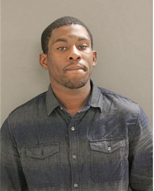 AUSTIN T COLLINS, Cook County, Illinois