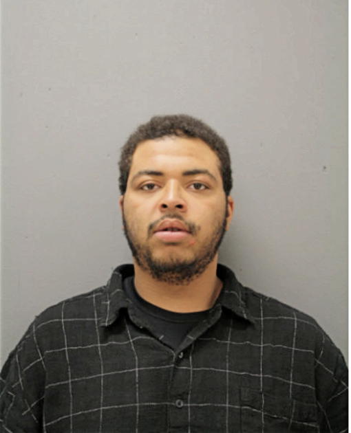 ANSEL J CUMMINGS, Cook County, Illinois