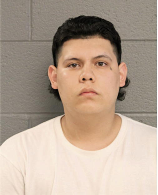 LUIS GONZALEZ, Cook County, Illinois