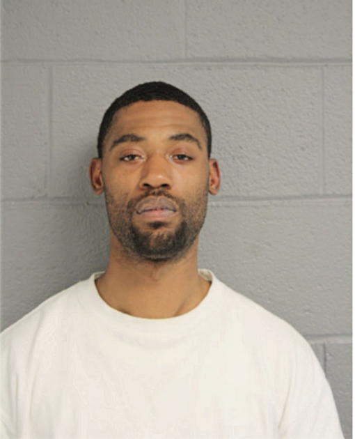 DENNIS A GOODMAN, Cook County, Illinois