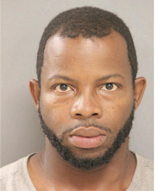 BRANDON A JOHNSON, Cook County, Illinois