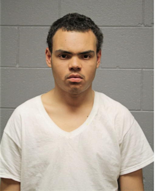 JOHN P JONES, Cook County, Illinois