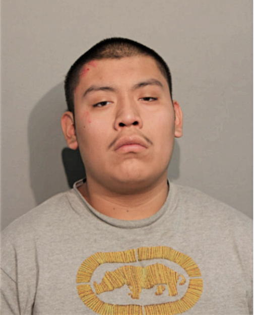 MARIO DE LA CRUZ, Cook County, Illinois