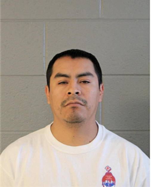 SAUL BENITEZ MARIN, Cook County, Illinois