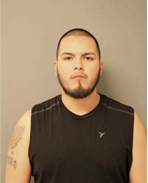 ELEBANDO MEJIA, Cook County, Illinois