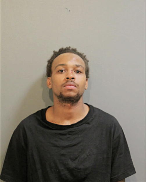 DARNELL E MULLINS, Cook County, Illinois