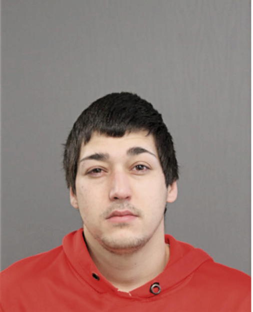 NICHOLAS S PAPPAS, Cook County, Illinois