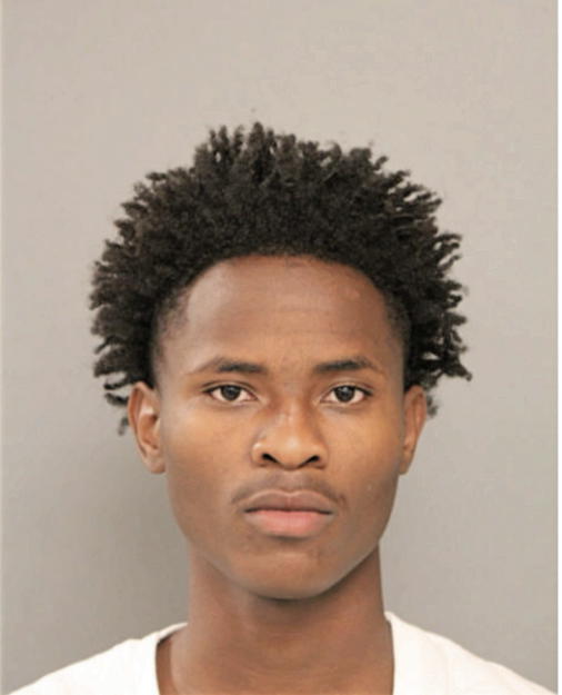 MICHAEL C RIDDLE, Cook County, Illinois