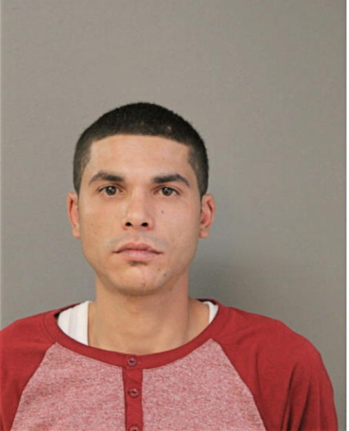 ADAN M SALEH, Cook County, Illinois