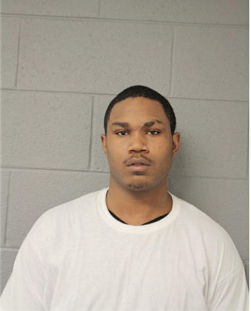 DARRON G VILO, Cook County, Illinois