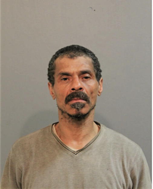 JAMES E WISEMAN, Cook County, Illinois