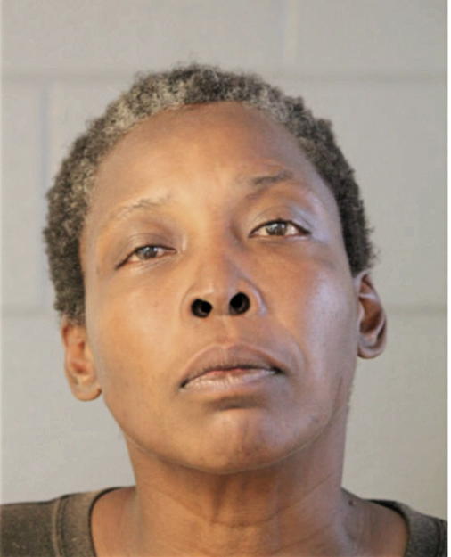 JOYCE L ANDERSON, Cook County, Illinois