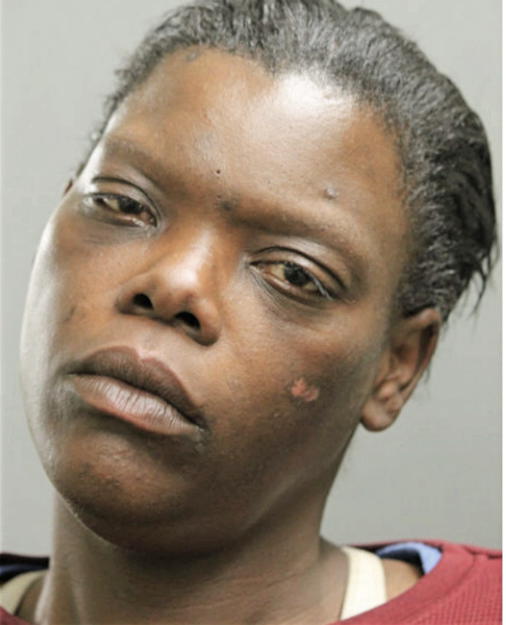MELODIE S ANDERSON, Cook County, Illinois
