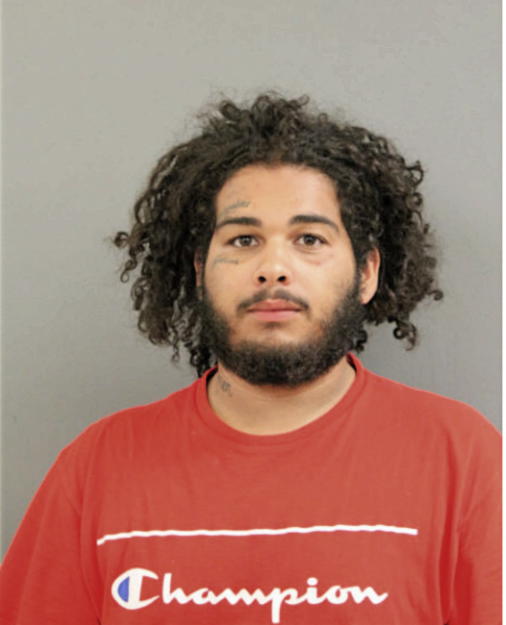 NATHANIEL L BAEZ, Cook County, Illinois