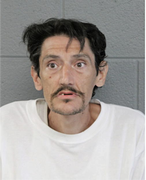 ROBERT S BERTUCCI, Cook County, Illinois