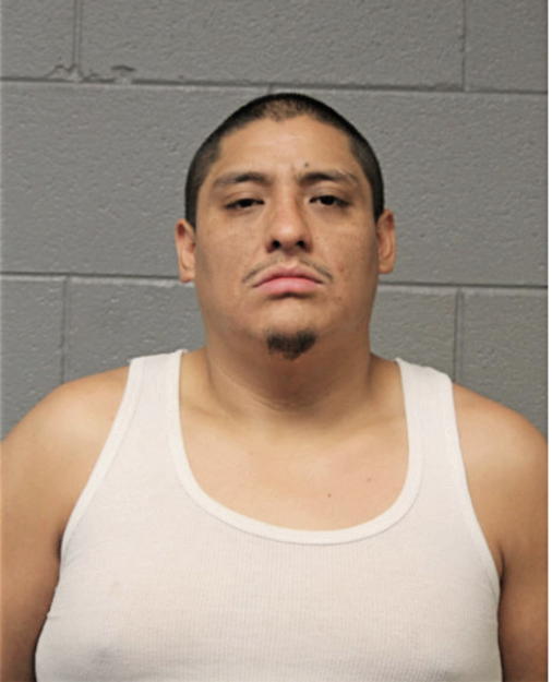 ROMEL L CAMPOVERDE, Cook County, Illinois