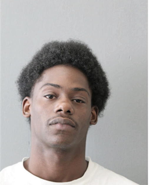 AVONTAE M COLLINS, Cook County, Illinois