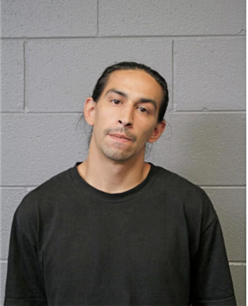 ANTHONY E DESPARROIS, Cook County, Illinois