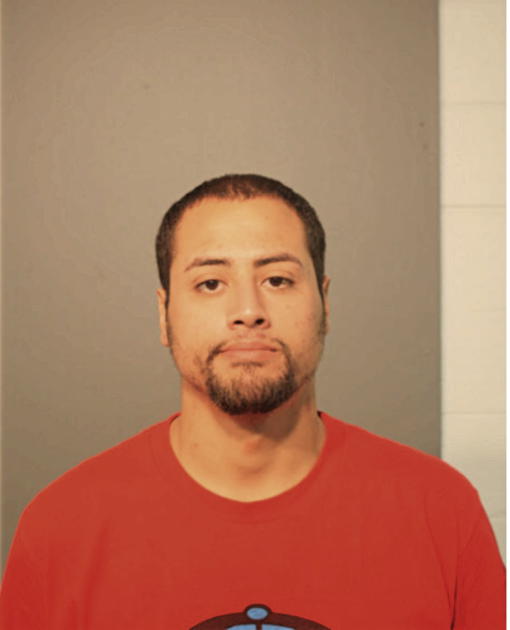 MICHAEL C FLORES, Cook County, Illinois