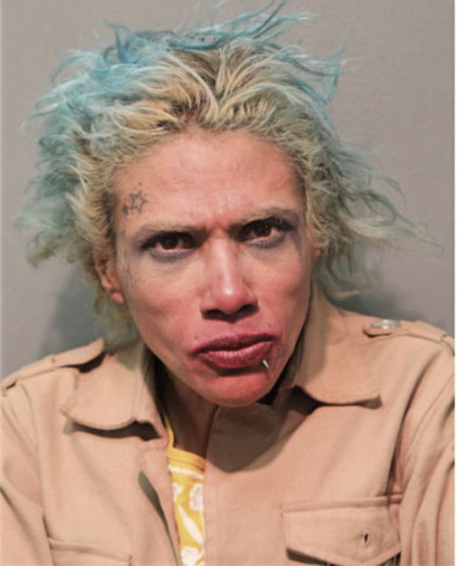 VICTORIA GONZALEZ, Cook County, Illinois