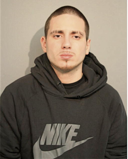 WALTER J GONZALEZ, Cook County, Illinois