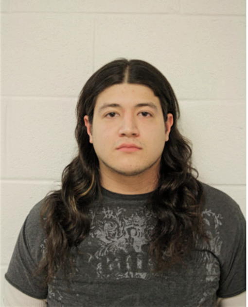 JOREY M GUILLERMO, Cook County, Illinois