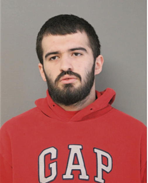 DREW B HERNANDEZ, Cook County, Illinois