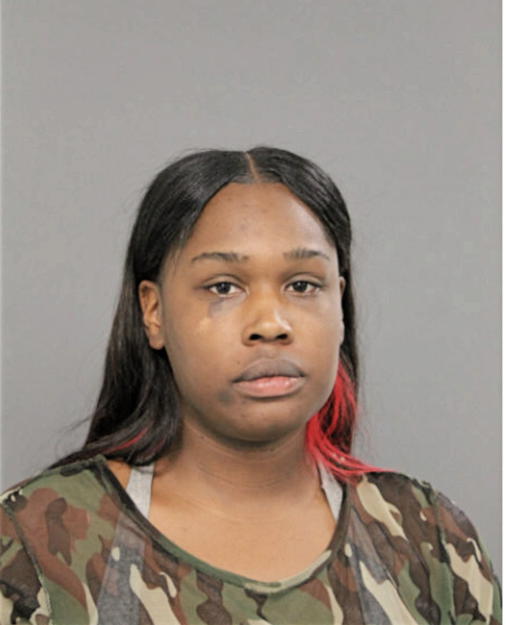 SERITA P JAMES, Cook County, Illinois