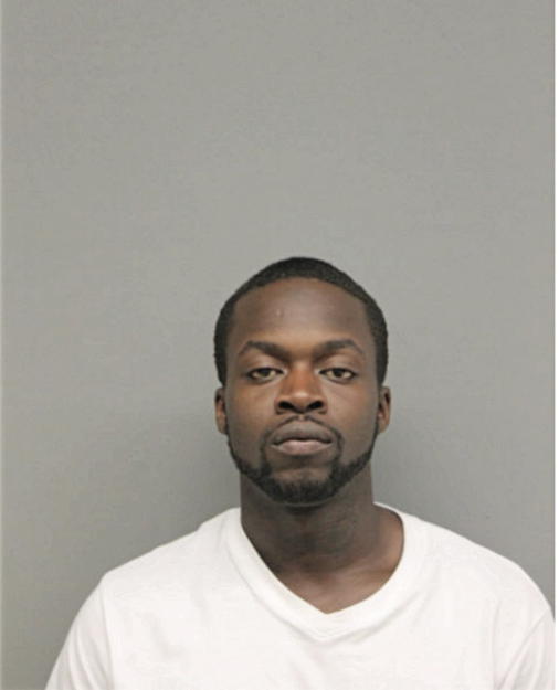 GABRIEL JOHNSON, Cook County, Illinois