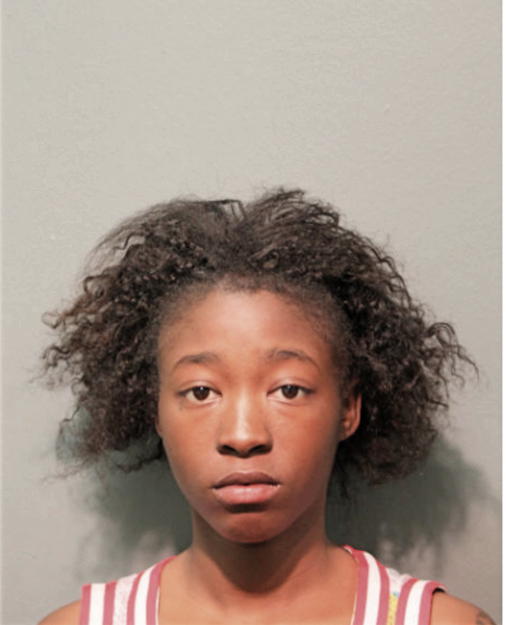 JERRENIA E JOHNSON, Cook County, Illinois