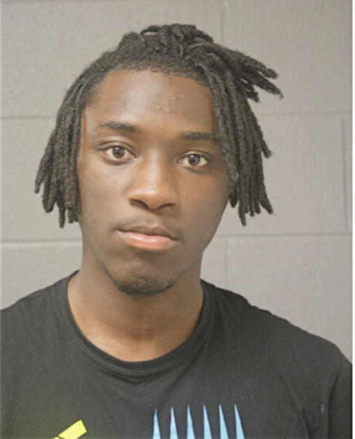 MICHAEL A JONES, Cook County, Illinois