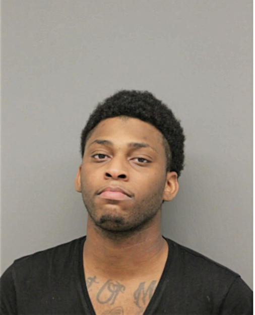 KEVIN K KING, Cook County, Illinois