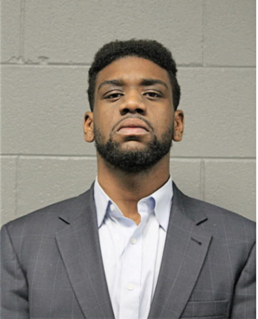 DAVID L LAKES, Cook County, Illinois
