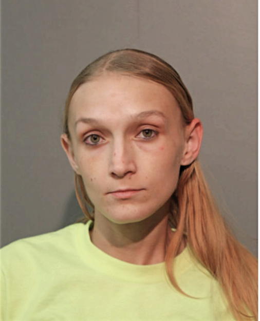 MICHELLE L LEWANDOWSKI, Cook County, Illinois