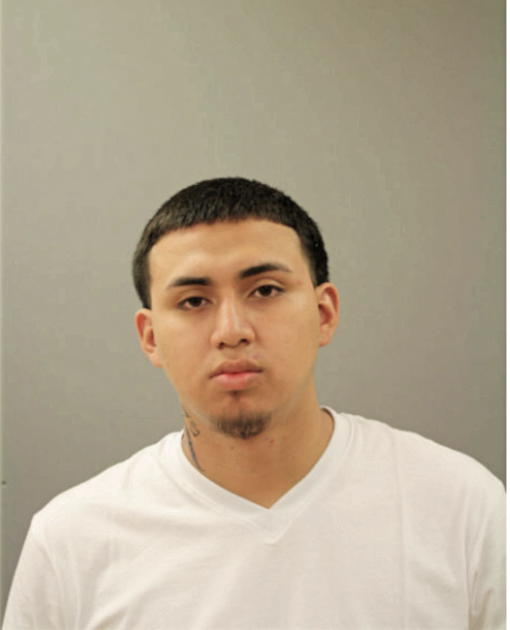 MYNOR LOPEZ, Cook County, Illinois