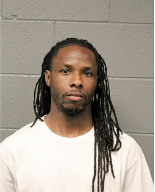 ROGER L LOTT, Cook County, Illinois