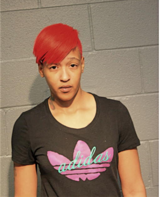DORIS L LOWE, Cook County, Illinois
