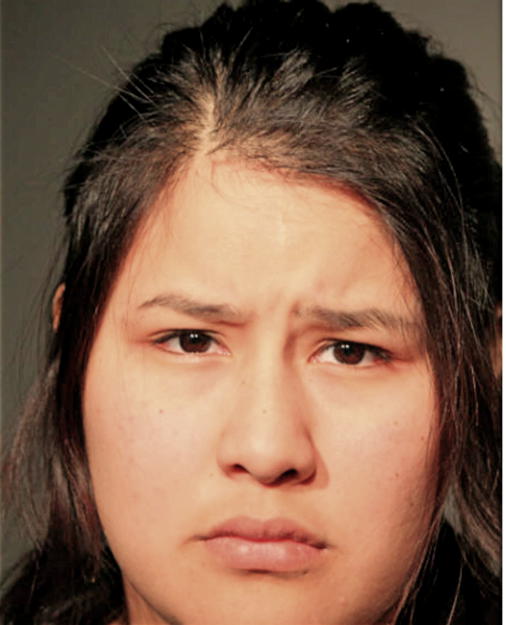 ANA L MADRIGAL, Cook County, Illinois
