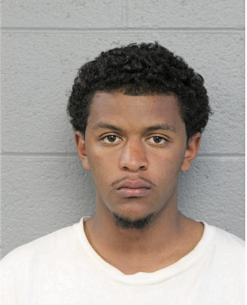 DAVID T NELSON, Cook County, Illinois