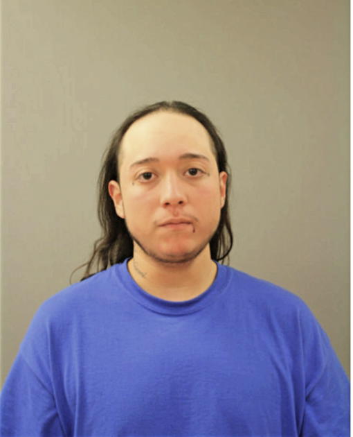 JOSE L ROMAN, Cook County, Illinois