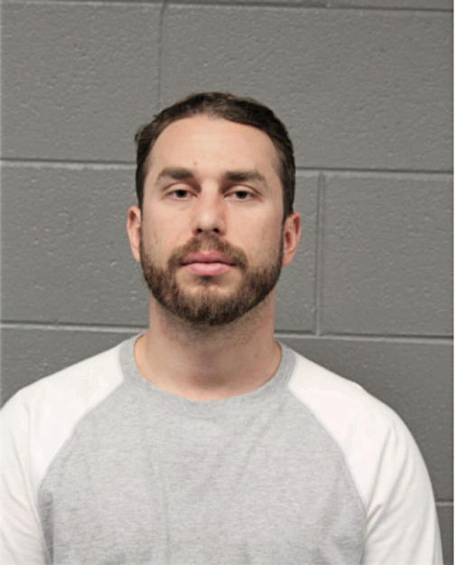 MICHAEL A SALVATORE, Cook County, Illinois