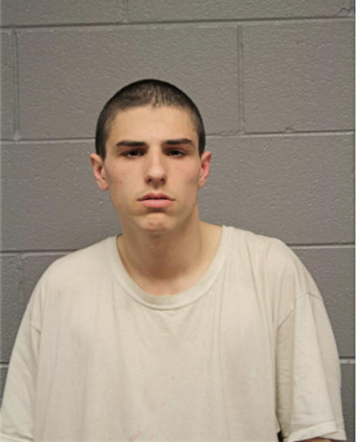 JOSEPH S SILBERBAUER, Cook County, Illinois
