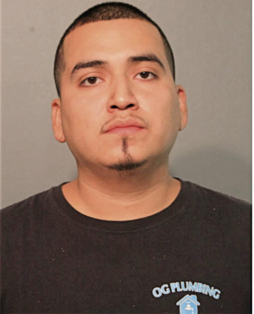 IRVING SOSA, Cook County, Illinois