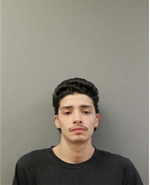 CESAR R UGARTE, Cook County, Illinois