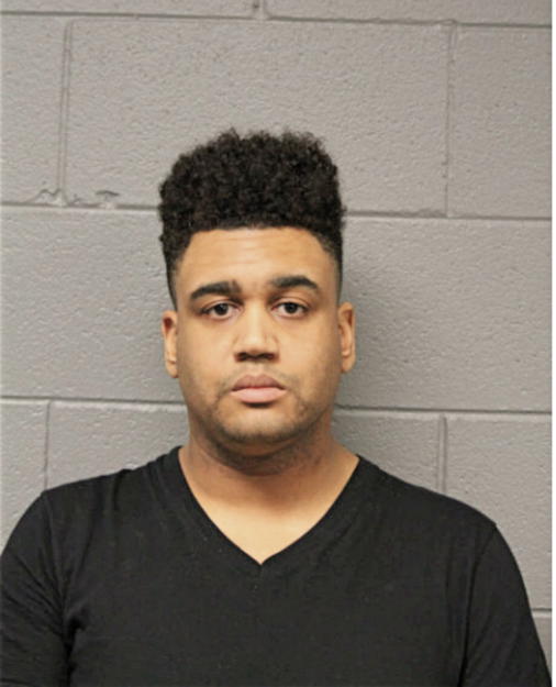 RONALD J BALL, Cook County, Illinois