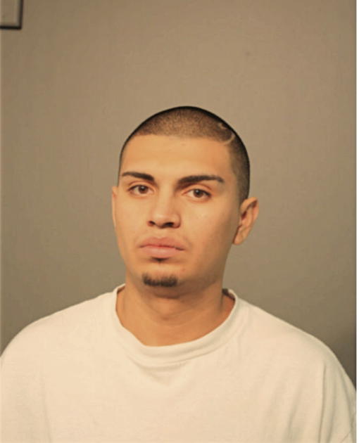 HECTOR BARAJAS, Cook County, Illinois