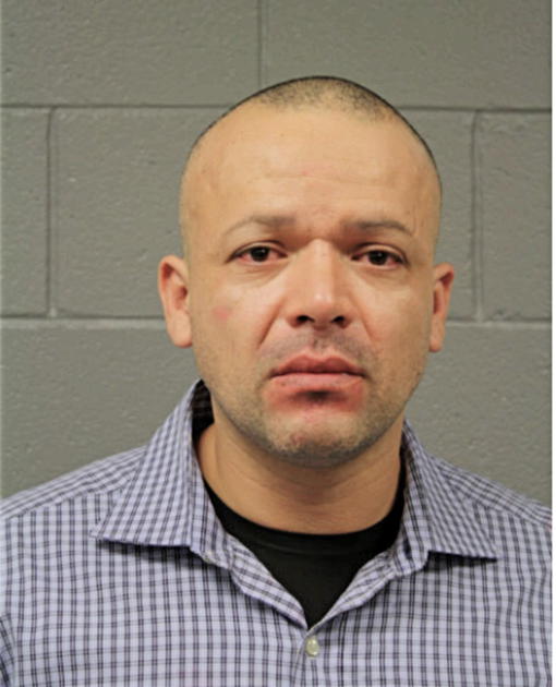 FIDEL D BASTIDA, Cook County, Illinois
