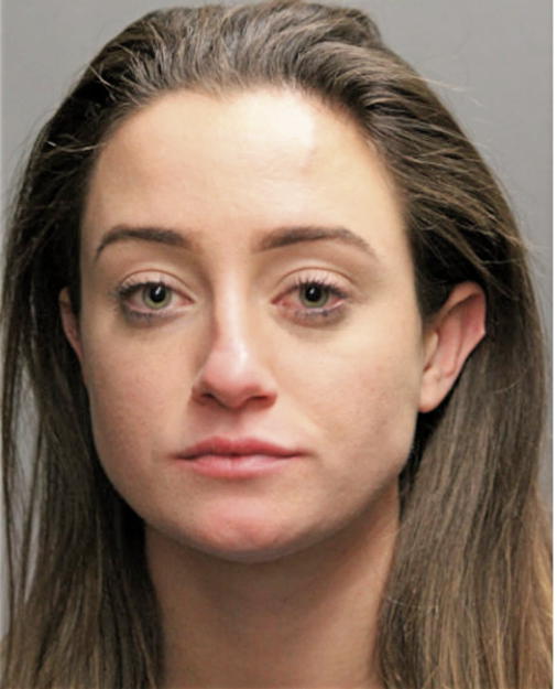 RACHEL M BRAUN, Cook County, Illinois