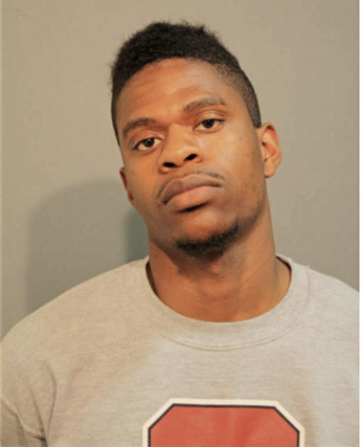 ROBERT L BURNS, Cook County, Illinois